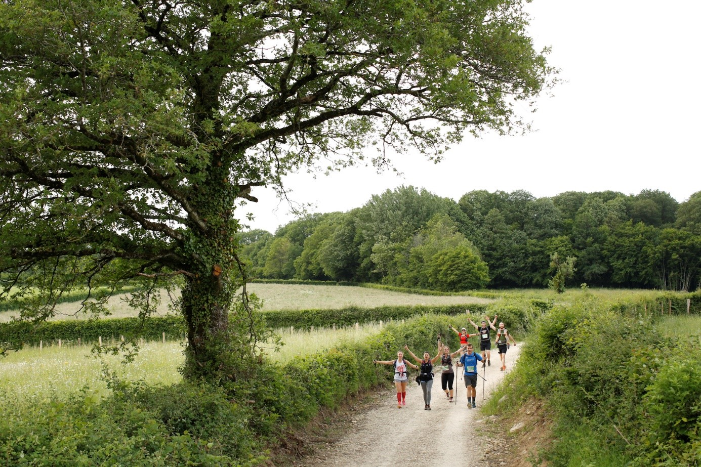 trail3